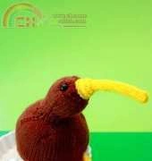 Hannah Kaminski: Crazy Kiwi Bird