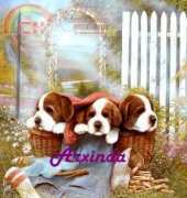 Arxinda - Puppies in Basket