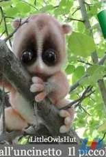 Little Owls Hut - Svetlana Pertseva - Slow Loris