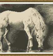 Megat Cross Stitch 4042 - Horse