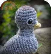Grietjekarwietje - Young Pigeon - Free