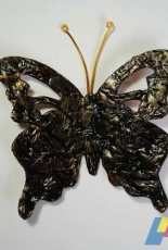 My butterflies