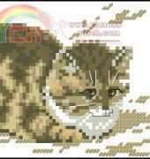 Lanarte 34614 Cat