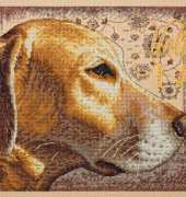 Dimensions 35273 Yellow Lab XSD