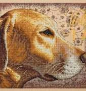 Dimensions 35273 Yellow Lab XSD
