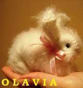 Bunny)))