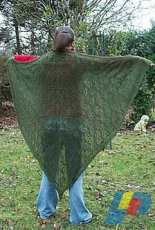 Japanese Vines Shawl by ColorLife/ Bobines et Pelotes-English-Free