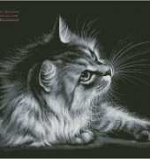 Irina Garmashova Cat and Moth