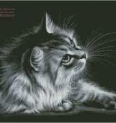 Irina Garmashova Cat and Moth