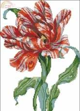 Striped Parrot Tulip from American School of Needlework ASN 3689 Beautiful Blossoms PCS