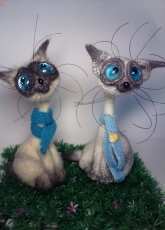 Siamese cat