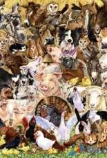 HAED - HAEWED121 One Day On The Farm by Wendy Edelson