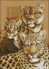 Wild cats by Love Yu.