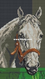 Coricamo GC 427 - Horse