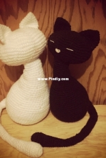 Valentine Cats