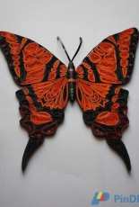 Butterfly Quilling