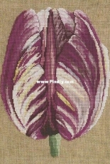 DMC BK201 Pink Tulip