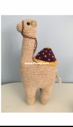 Anna McLane - Deborahs Camel - Free