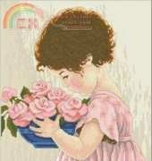 Dimensions 35031 - Amys Roses