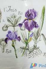 DFEA flower