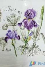DFEA flower