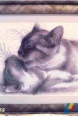 Gerdamoon,B003 Cats tenderness