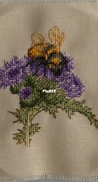 Bumblebee and Thistle