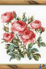 Riolis 1046 Roses