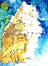 HAEJOL 19431 Maine Coon Pride - Jo Lynch
