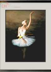I Love CrossStitch ILCS XCY- 006 Swan