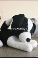 Miss Cuddlington - Oreo The Border Collie
