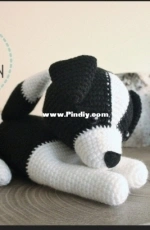 Miss Cuddlington - Oreo The Border Collie