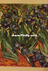 Irysys . Van Gogh