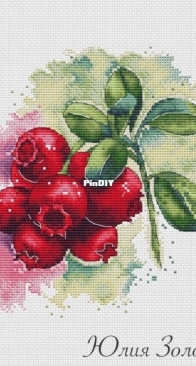 Lingonberry by Julia Zolotova