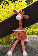 Giraffe2