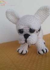 My bulldogue francese