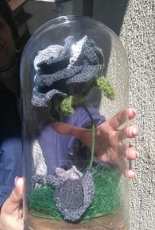 My rose