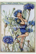 Tilton Crafts - Cornflower Fairy (Flower Fairy Collection)