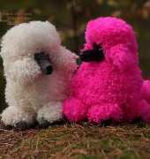 Poodles by Jessica Pilhede