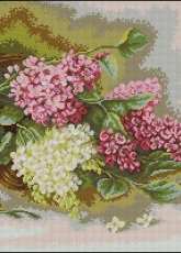 Luca-S B493 Lilac