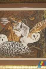 Golden fleece(Zolotoe Runo) "Owl look". Золотое руно "Cовиный взгляд" ДЖ-021