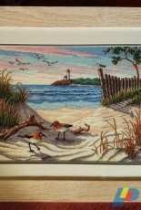 Dimensions_Beauty of the beach 13634