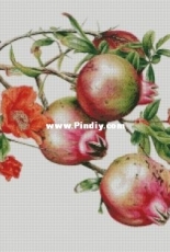 Chimera -  Pomegranate Branch