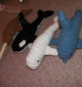 Ocean Animals