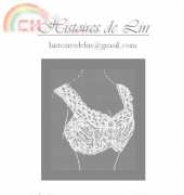Histoires de Lin - Brassière 1900