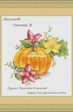 Pumpkin by Tatiana / Tatyana Vasilyeva V.