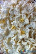 Morris & Sons- White Flowers for The White Tower Project- Free