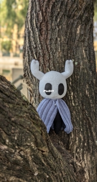 Hollow knight