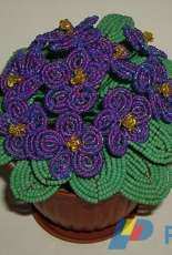 violet flower