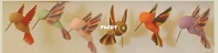 Craft Divas - Hummingbird